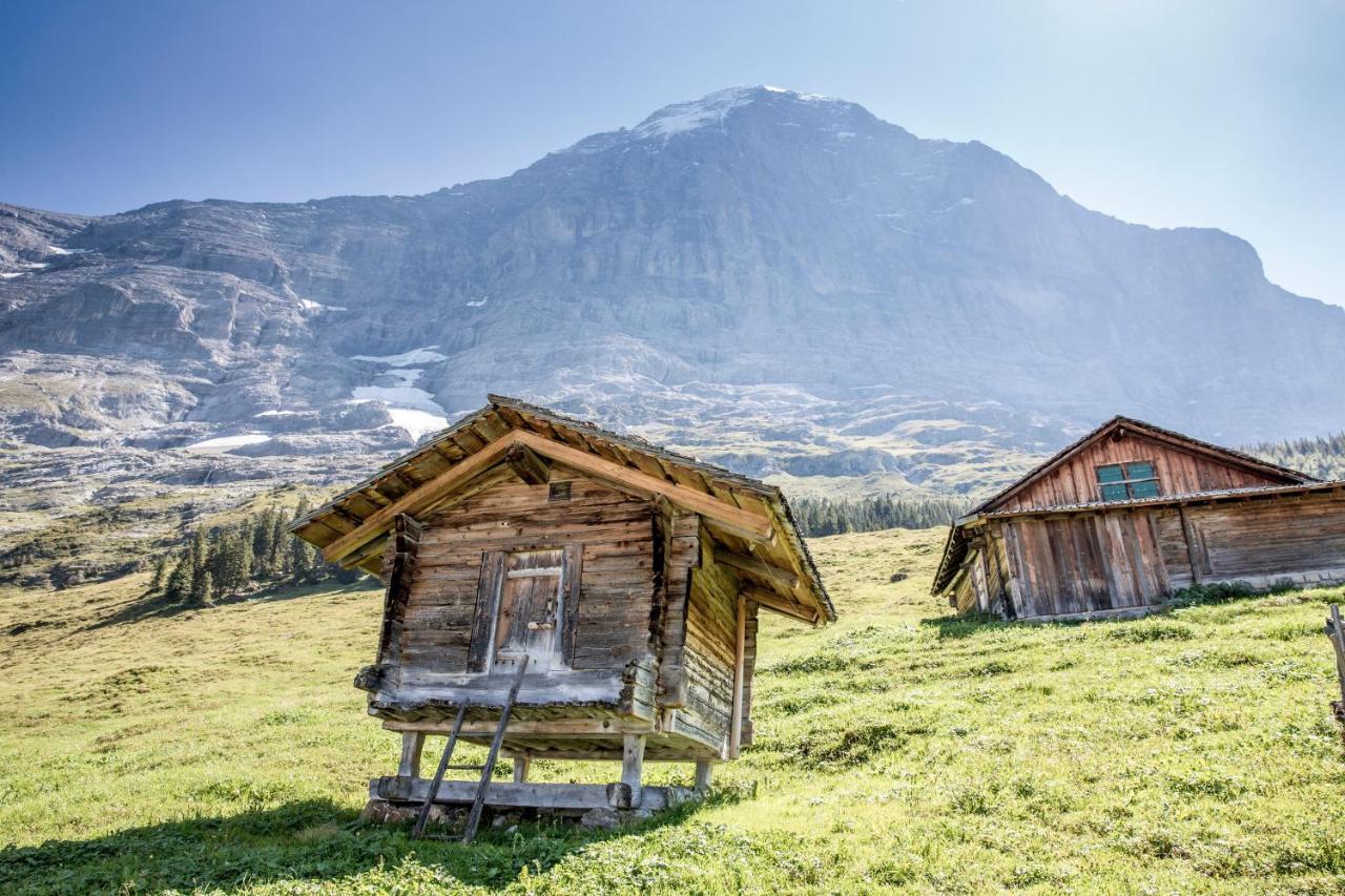 Aspen Alpine Lifestyle Hotel Grindelwald Exterior photo